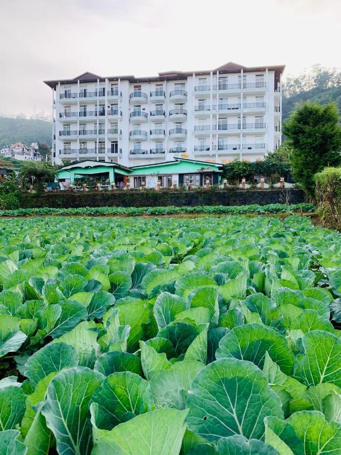 City Apartment'S Nuwara Eliya Extérieur photo